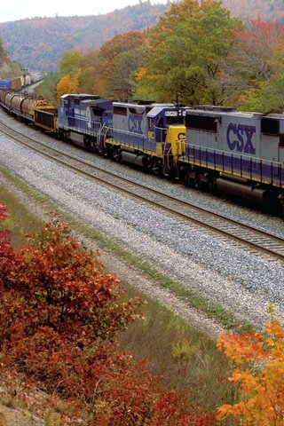 Обои железная дорога, лес, осень, поезд, railroad, forest, autumn, train разрешение 1920x1280 Загрузить