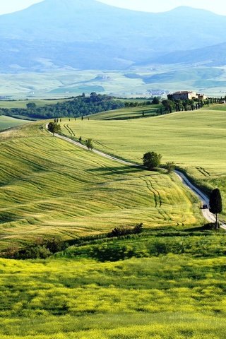 Обои поля, италия, тоскана, toscana, pienza, пьенца, terrapille, field, italy, tuscany разрешение 2560x1440 Загрузить