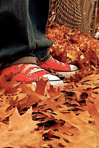 Обои листья, осень, кеды, джинсы, ноги, listya, osen, kedy, осенние листья, leaves, autumn, sneakers, jeans, feet, autumn leaves разрешение 1920x1440 Загрузить