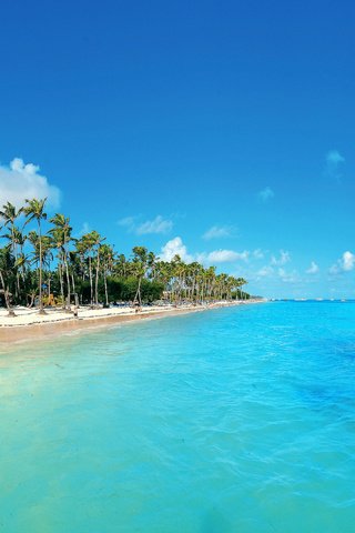 Обои пляж, тропики, beach, tropics разрешение 2880x1800 Загрузить