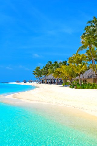 Обои пляж, бунгало, тропики, мальдивы, beach, bungalow, tropics, the maldives разрешение 2593x1930 Загрузить