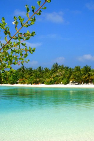 Обои пляж, остров, тропики, мальдивы, beach, island, tropics, the maldives разрешение 2400x1800 Загрузить