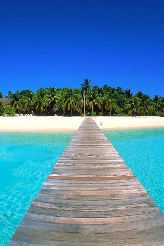 Обои остров, тропики, мальдивы, island, tropics, the maldives разрешение 2560x1920 Загрузить