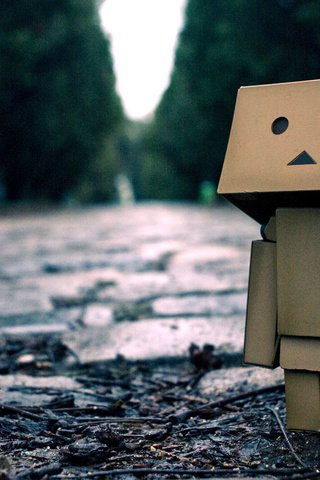 Обои данбо, dambo, kartonnyj robot, картонный человечек, danbo, cardboard man разрешение 1920x1200 Загрузить