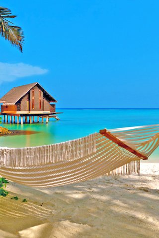 Обои море, пляж, гамак, тропики, sea, beach, hammock, tropics разрешение 2536x1615 Загрузить