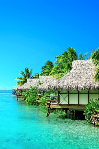 Обои море, бунгало, тропики, sea, bungalow, tropics разрешение 5531x3269 Загрузить