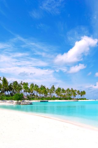 Обои море, пляж, тропики, мальдивы, sea, beach, tropics, the maldives разрешение 4256x2848 Загрузить