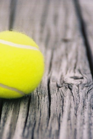 Обои тенис, спорт, мяч, теннис, бал, doski, myach, tennis, sport, the ball, ball разрешение 2560x1600 Загрузить