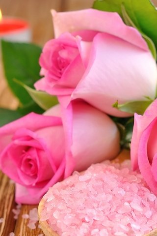 Обои бутоны, розы, лепестки, розовые, свечки, соль, buds, roses, petals, pink, candle, salt разрешение 2880x1800 Загрузить