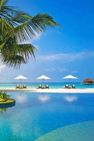 Обои море, пляж, отдых, курорт, тропики, мальдивы, sea, beach, stay, resort, tropics, the maldives разрешение 3000x2250 Загрузить