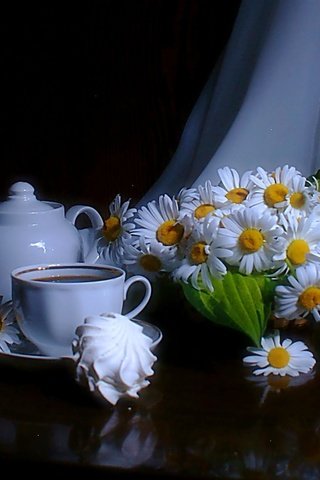 Обои ромашки, черный фон, чашка, чай, чайник, зефир, chamomile, black background, cup, tea, kettle, marshmallows разрешение 2048x1213 Загрузить