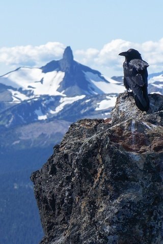 Обои горы, природа, камни, горизонт, черный, птицы, ворон, mountains, nature, stones, horizon, black, birds, raven разрешение 2561x1600 Загрузить