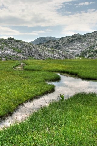 Обои трава, горы, природа, ручей, пейзаж., grass, mountains, nature, stream, landscape. разрешение 2560x1600 Загрузить