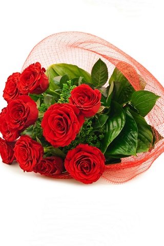 Обои цветы, зелень, розы, красные, букет, лента, упаковка, flowers, greens, roses, red, bouquet, tape, packaging разрешение 3872x2904 Загрузить