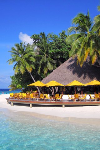 Обои море, пляж, остров, курорт, тропики, мальдивы, sea, beach, island, resort, tropics, the maldives разрешение 3202x2380 Загрузить