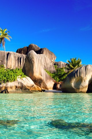 Обои море, отдых, остров, тропики, сейшелы, sea, stay, island, tropics, seychelles разрешение 3008x2000 Загрузить