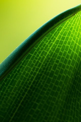 Обои зелёный, макро, фон, лист, прожилки, green, macro, background, sheet, veins разрешение 2560x1600 Загрузить