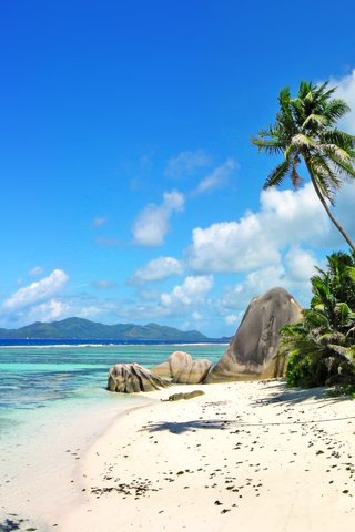 Обои море, пляж, отдых, остров, тропики, пирамиды, сейшелы, sea, beach, stay, island, tropics, pyramid, seychelles разрешение 2560x1920 Загрузить