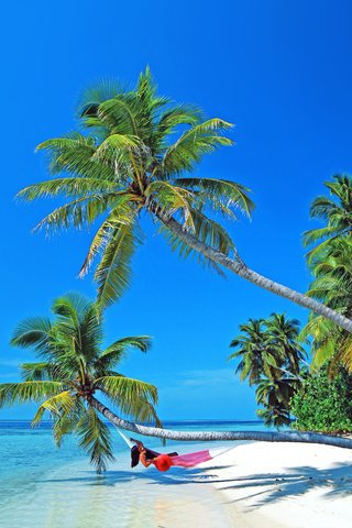 Обои девушка, море, пляж, отдых, остров, гамак, тропики, мальдивы, girl, sea, beach, stay, island, hammock, tropics, the maldives разрешение 4129x3051 Загрузить