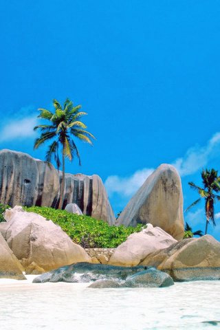 Обои море, пляж, отдых, остров, тропики, сейшелы, sea, beach, stay, island, tropics, seychelles разрешение 2560x1920 Загрузить