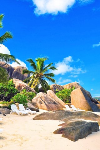 Обои море, пляж, отдых, остров, тропики, сейшелы, sea, beach, stay, island, tropics, seychelles разрешение 2560x1440 Загрузить