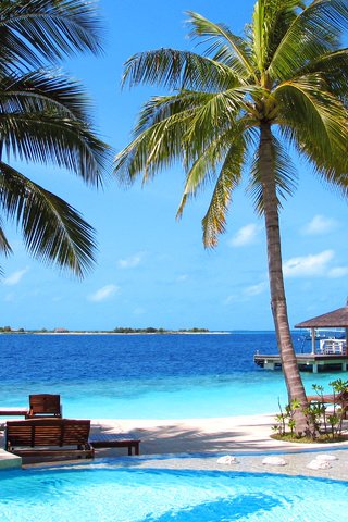 Обои море, пляж, отдых, остров, тропики, мальдивы, sea, beach, stay, island, tropics, the maldives разрешение 2548x1895 Загрузить