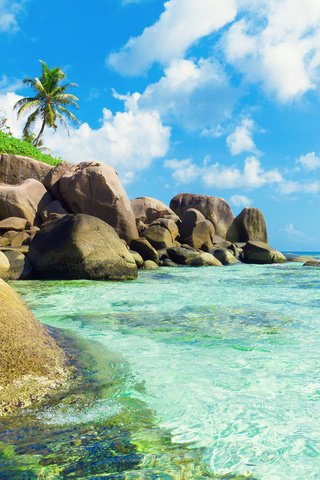 Обои море, отдых, остров, тропики, сейшелы, sea, stay, island, tropics, seychelles разрешение 7084x4722 Загрузить