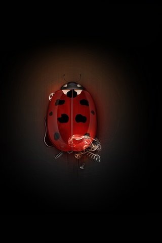 Обои жук, божья коровка, минимализм, механизм, шестеренки, beetle, ladybug, minimalism, mechanism, gear разрешение 1920x1080 Загрузить