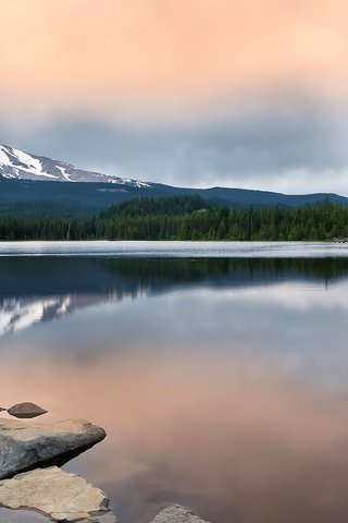 Обои вода, природа, лес, отражение, пейзаж, гора, орегон, гора маунт худ, water, nature, forest, reflection, landscape, mountain, oregon, mount hood разрешение 1920x1200 Загрузить