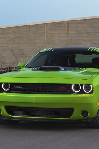 Обои дорога, додж, салатовый, road, dodge, green разрешение 1920x1200 Загрузить