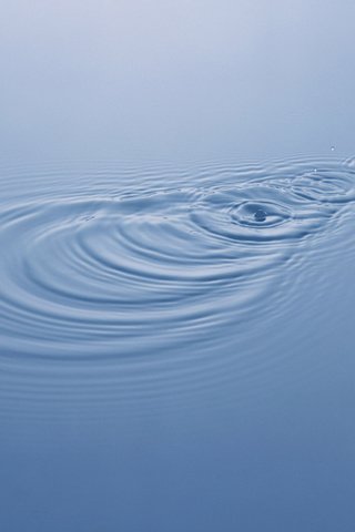 Обои вода, капли, круги, water, drops, circles разрешение 2560x1600 Загрузить