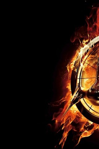 Обои огонь, эмблема, the hunger games catching fire, голодные игры. и вспыхнет пламя, голодные игры 2, китнисс эвердин, сойка-пересмешница, fire, emblem, the hunger games catching fire, the hunger games. catching fire, the hunger games 2, katniss everdeen, mockingjay разрешение 1920x1080 Загрузить