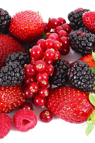Обои малина, клубника, ягоды, красная смородина, ежевика, raspberry, strawberry, berries, red currant, blackberry разрешение 2560x1600 Загрузить