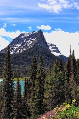 Обои деревья, озеро, горы, пейзаж, st mary lake, национальный парк глейшер, trees, lake, mountains, landscape, glacier national park разрешение 2560x1600 Загрузить