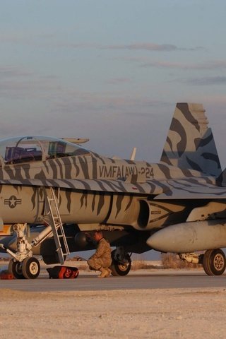 Обои сша, хорнет, mcdonnell douglas, f a-18d, al asad airbase, usa, hornet разрешение 2560x1600 Загрузить