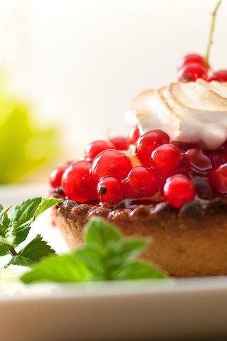 Обои крем для торта, красная, ягоды, смородина, пирожное, тарталетка, cream cake, red, berries, currants, cake, tartlet разрешение 2560x1600 Загрузить