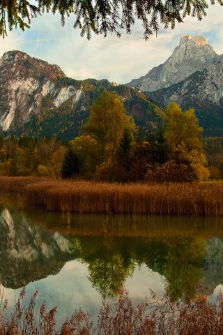 Обои река, горы, природа, лес, осень, river, mountains, nature, forest, autumn разрешение 1920x1200 Загрузить