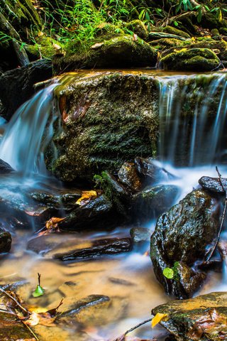 Обои вода, камни, ручей, мох, скал, ландшафт, на природе, water, stones, stream, moss, rocks, landscape, nature разрешение 1920x1200 Загрузить