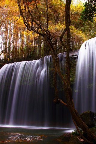 Обои деревья, природа, камни, лес, водопад, осень, лоза, красиво, trees, nature, stones, forest, waterfall, autumn, vine, beautiful разрешение 2560x1600 Загрузить