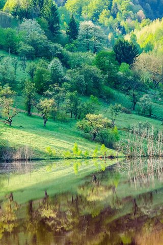 Обои деревья, озеро, отражение, склон, гора, дома, весна, trees, lake, reflection, slope, mountain, home, spring разрешение 1920x1200 Загрузить