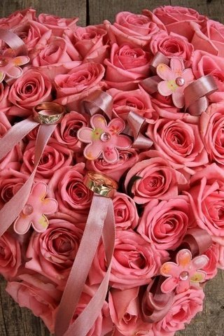 Обои цветок, розы, красивые, цветком, flower, roses, beautiful разрешение 1920x1200 Загрузить