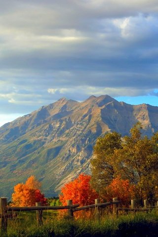 Обои деревья, горы, скалы, лес, осень, забор, trees, mountains, rocks, forest, autumn, the fence разрешение 4000x2822 Загрузить