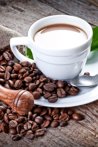 Обои зерна, кофе, чашка, ложка, grain, coffee, cup, spoon разрешение 5616x3744 Загрузить