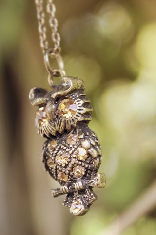 Обои сова, украшение, цепочка, подвеска, owl, decoration, chain, suspension разрешение 5184x3456 Загрузить