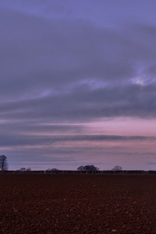 Обои небо, деревья, вечер, поле, the sky, trees, the evening, field разрешение 2048x1154 Загрузить