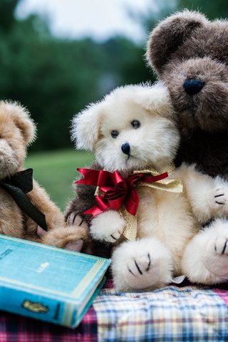 Обои мишки, игрушки, книга, мягкие, bears, toys, book, soft разрешение 2048x1371 Загрузить