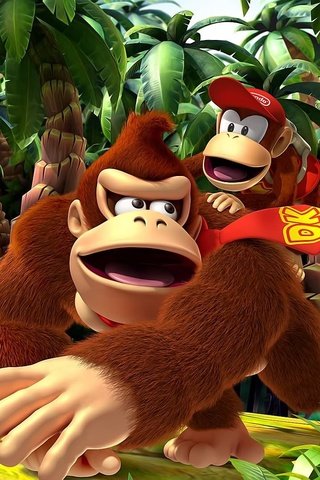 Обои видеоигра, донки конг возвращается, video game, donkey kong returns разрешение 1920x1080 Загрузить