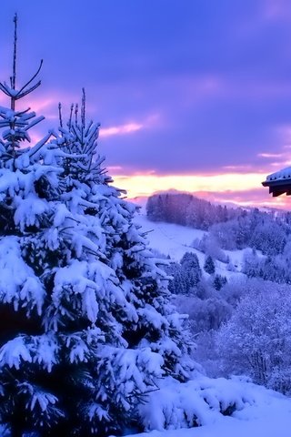 Обои деревья, холмы, снег, зима, рассвет, дом, trees, hills, snow, winter, dawn, house разрешение 1920x1275 Загрузить