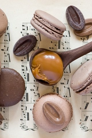 Обои сладкое, печенье, ложка, макарун, ассорти, sweet, cookies, spoon, macaron, cuts разрешение 2000x1327 Загрузить