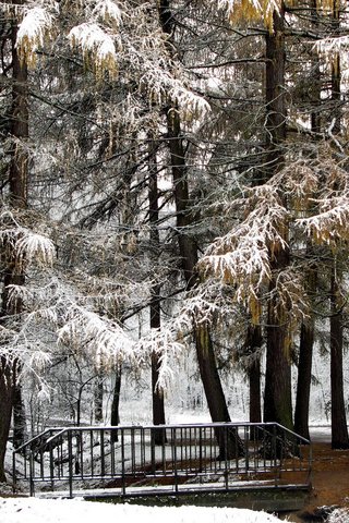 Обои деревья, снег, природа, зима, парк, мост, trees, snow, nature, winter, park, bridge разрешение 1920x1200 Загрузить